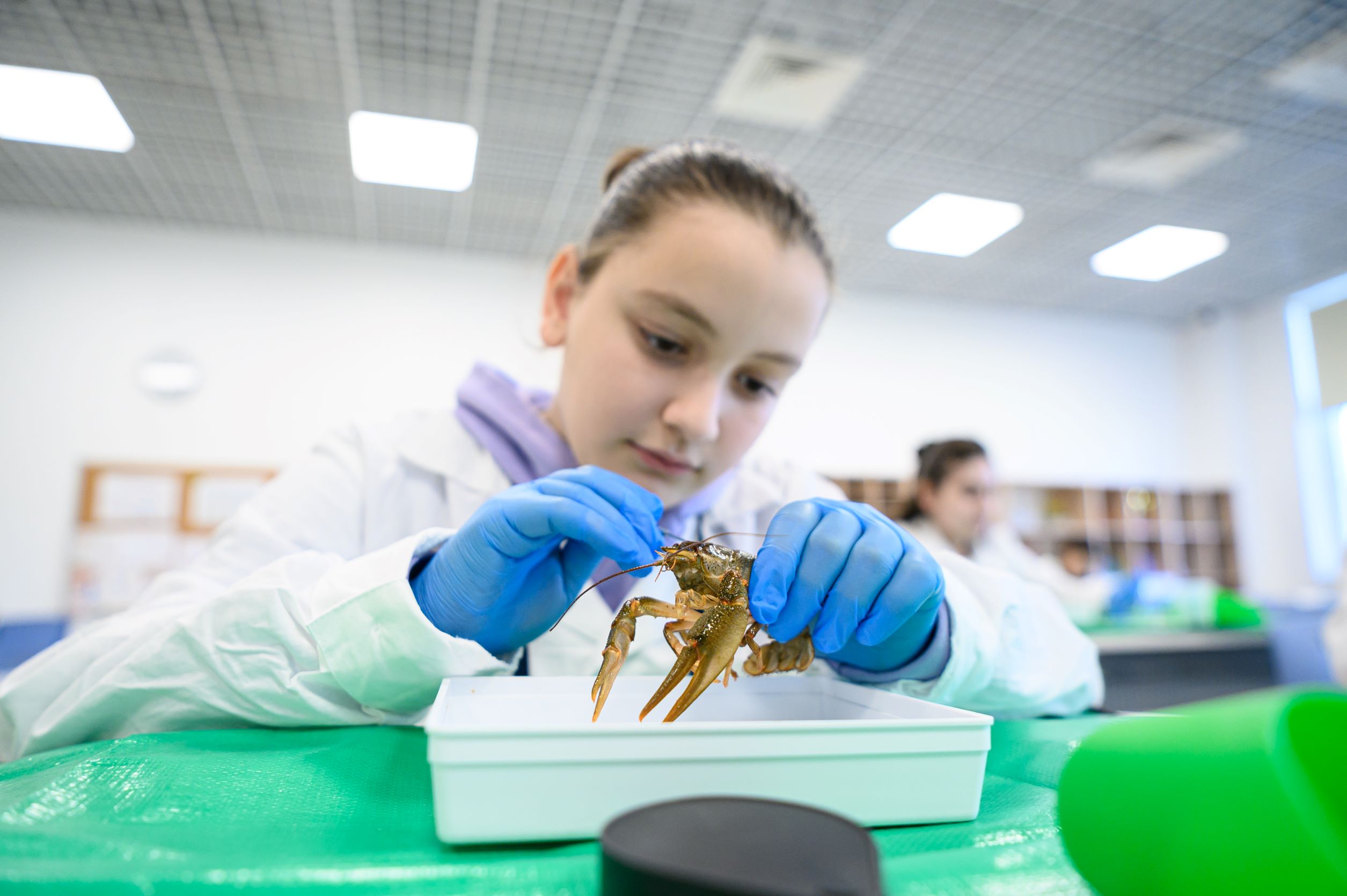 От морфологии растений до расшифровки ЭКГ: как Президентский Лицей «Сириус» готовит будущих учёных, способных решать сложные задачи