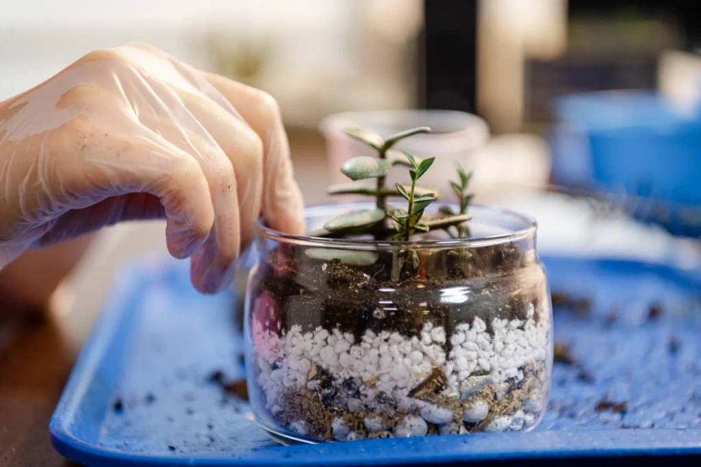 5199908405983178903.jpg 5199908405983178903.jpg